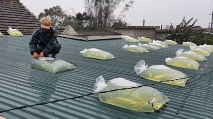 Ba người trong gia đình thương vong khi gia cố nhà chống bão