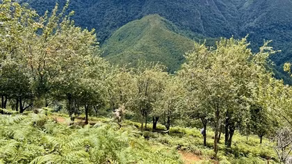 Một thoáng Tà Chì Nhù