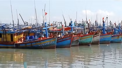Thúc đẩy phát triển nghề cá bền vững và tuân thủ các quy định quốc tế