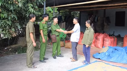 Giảm tầng nấc trong tổ chức bộ máy, giảm trung gian trong điều hành