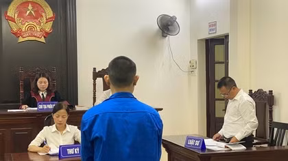 Quy định về hoạt động tham gia tố tụng của trợ giúp viên pháp lý