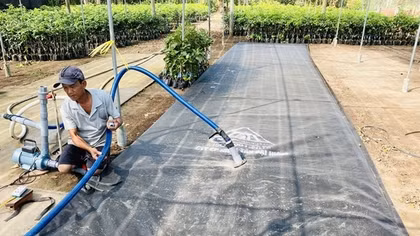 Các tỉnh đồng bằng sông Cửu Long tích cực phòng, chống xâm nhập mặn