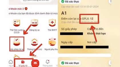 Người dân có thể tự theo dõi số điểm của giấy phép lái xe qua ứng dụng VNeID