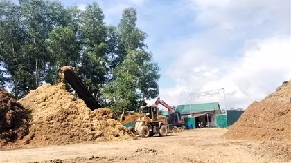 Phê bình địa phương vì để các cơ sở băm dăm hoạt động không phép