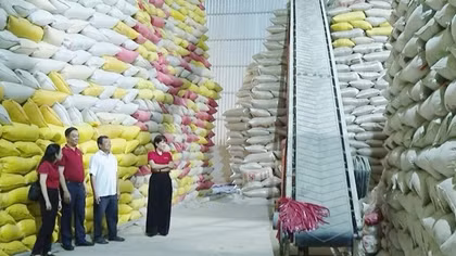Vốn Agribank, đòn bẩy cho nông hộ