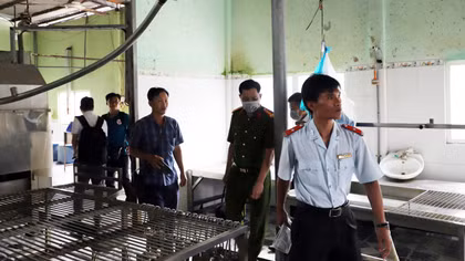 Vụ lùm xùm tại Công ty C.P: Thịt heo bệnh sao phải mổ, xẻ thịt?