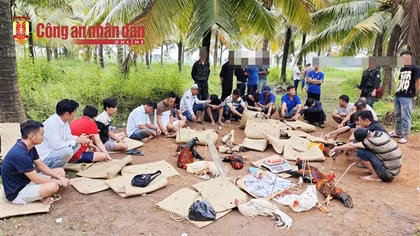 Truy tìm 6 đối tượng liên quan đến vụ đá gà ăn tiền trên 1,6 tỷ đồng