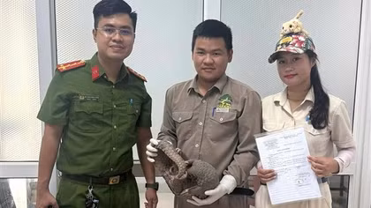 Phát hiện đường dây chuyên cung ứng động vật hoang dã cho nhà hàng