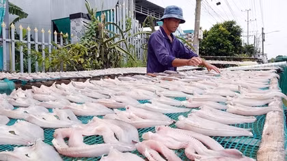 Phát triển làng nghề gắn với sinh kế của người dân