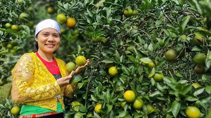 Vốn chính sách giúp nhiều nữ đảng viên vùng cao phát triển thành công kinh tế gia đình
