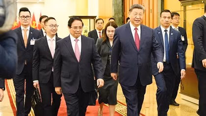 Chuyện của những “lá chắn sống”