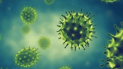 Năm 2025 chưa ghi nhận virus cúm thay đổi độc lực