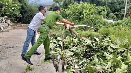 Quảng Trị khẩn trương khắc phục hậu quả bão số 5