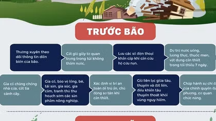 Trước khi bão số 10 đổ bộ, người dân cần làm gì để đảm bảo an toàn?