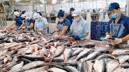Ngân hàng “bơm” 100.000 tỷ đồng cho nông, lâm, thuỷ sản