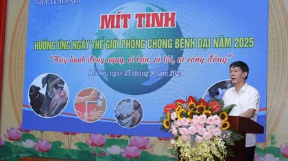 Hà Nội: Hơn 20 nghìn người phải điều trị dự phòng do chó mèo cắn