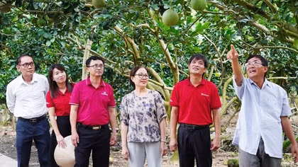 Dòng vốn Agribank tiếp sức cho kinh tế nông hộ phát triển bền vững