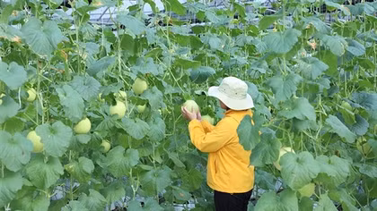 Mở rộng chính sách thu hút doanh nghiệp đầu tư