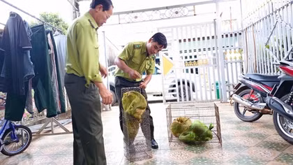 Nói không với sử dụng động vật hoang dã trái phép