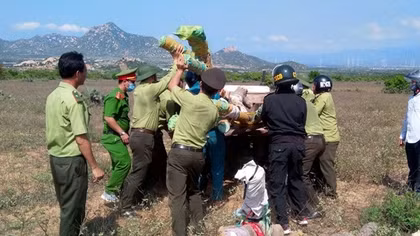 Phát dọn cây cỏ rồi tấn công nhân viên bảo vệ rừng