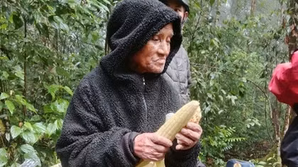 Cụ ông 78 tuổi sống sót kỳ diệu trong rừng sau 6 ngày đi lạc