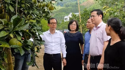 Ðể người dân thụ hưởng tốt nhất tín dụng chính sách
