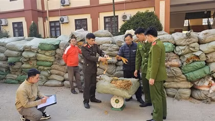 Vận chuyển trên 25 tấn thuốc lá không rõ nguồn gốc