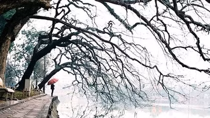 Những ngày rét ngọt đầu đông