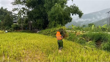 Lào Cai: Công an xã giúp dân khắc phục hậu quả mưa lớn