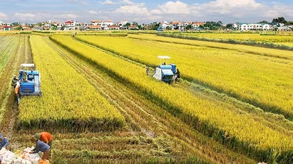 Việt Nam được đánh giá là điểm sáng giảm nghèo đa chiều