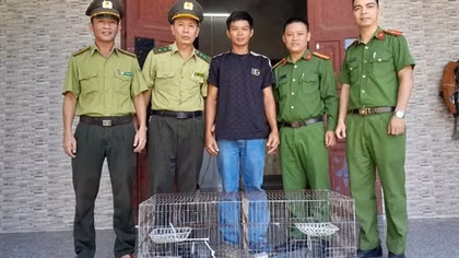 Người dân giao nộp tê tê Java, rùa núi vàng, trăn gấm quý hiếm