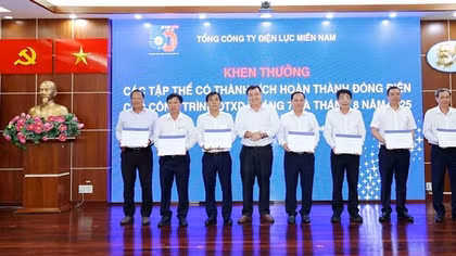 Tổng công ty Điện lực miền Nam quyết liệt trong công tác đầu tư xây dựng