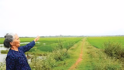 Có một bến đò C bên dòng Bến Hải…