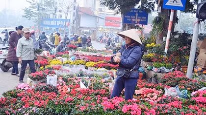 Đường xuân bốn mùa hoa