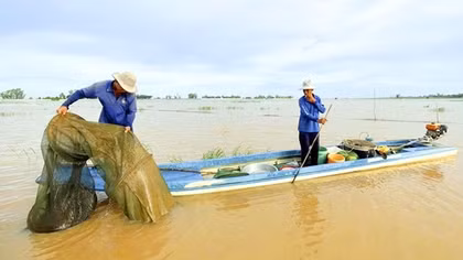 Mùa nước nổi nơi đầu nguồn