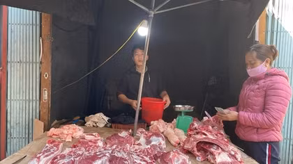 Giá lợn hơi tại Ninh Thuận, Đắk Lắk giảm nhẹ, nhiều địa phương giá lợn vẫn cao
