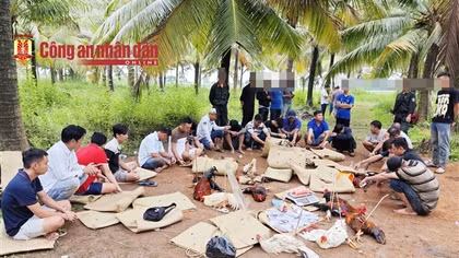 Triệt phá trường gà sát phạt hai trận trên 1,6 tỷ đồng