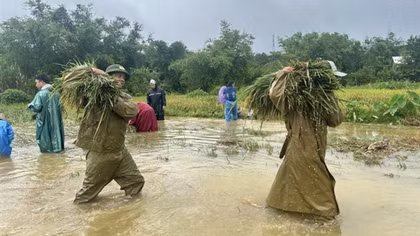 Hạn chế người dân ra đường trong thời gian bão đổ bộ và mưa lũ lớn