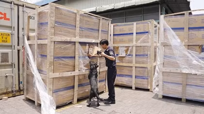 Khởi tố hình sự vụ doanh nghiệp xuất lậu thuốc lá