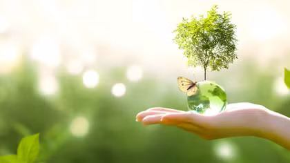 Viết tiếp về hạnh phúc...