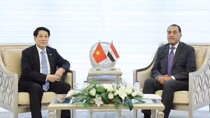 Việt Nam luôn coi trọng phát triển mối quan hệ với Ai Cập