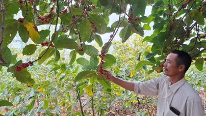 Thắp lửa ở vùng rừng lạnh