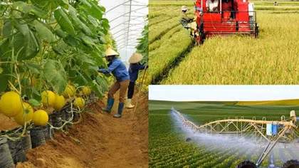 Đề xuất miễn tiền thuê đất lên tới 15 năm cho dự án đầu tư nông nghiệp