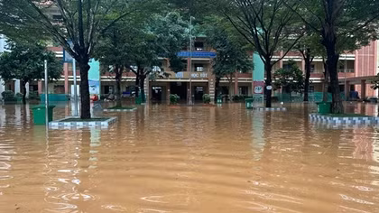 12 dự án trường học tại TP Hồ Chí Minh nằm trong diện thanh tra