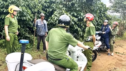 Bảo đảm an ninh cho mùa cà phê bội thu