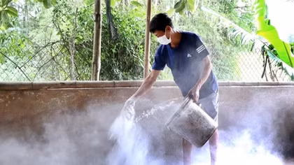 Thủ tướng chỉ đạo triển khai quyết liệt phòng chống dịch tả lợn châu Phi