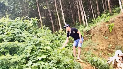 Vượt qua… “lời dạy của Yàng”, hồi sinh đại ngàn