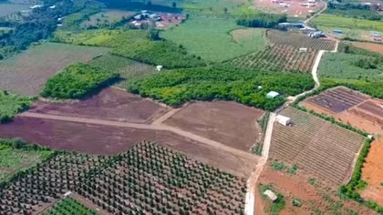 Đề xuất giảm 30% tiền thuê đất năm 2025