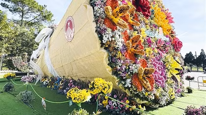 Hoa trên thành phố ngàn hoa
