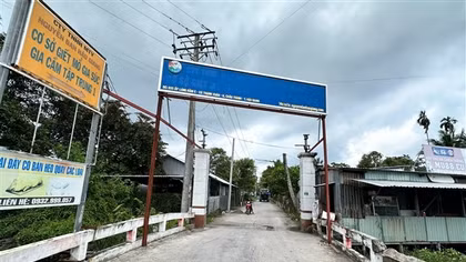 Kiểm tra cơ sở giết mổ heo cho Công ty C.P từng giao sản phẩm đến tỉnh Sóc Trăng năm 2022